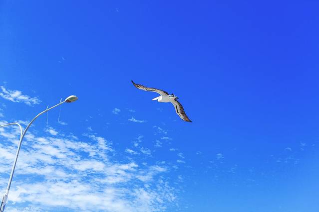 克利福德蜂蜜农场