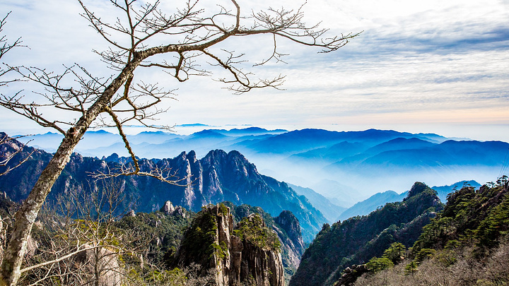 花峰,佛掌峰,天狗望月,羊子过江,仙人飘海,葫芦石等诸多景点,缆车穿梭
