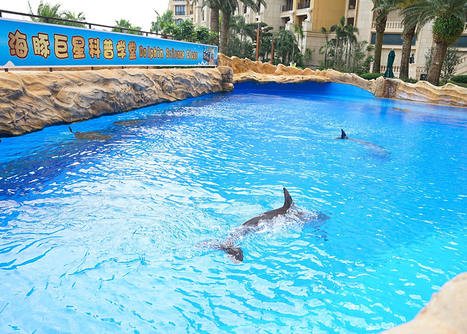 过海豚后,酒店海滩花园里有着室内水上乐园-- 