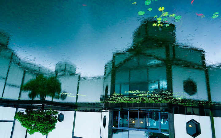 下午一直下中雨,我赶着预定好的苏州博物馆门