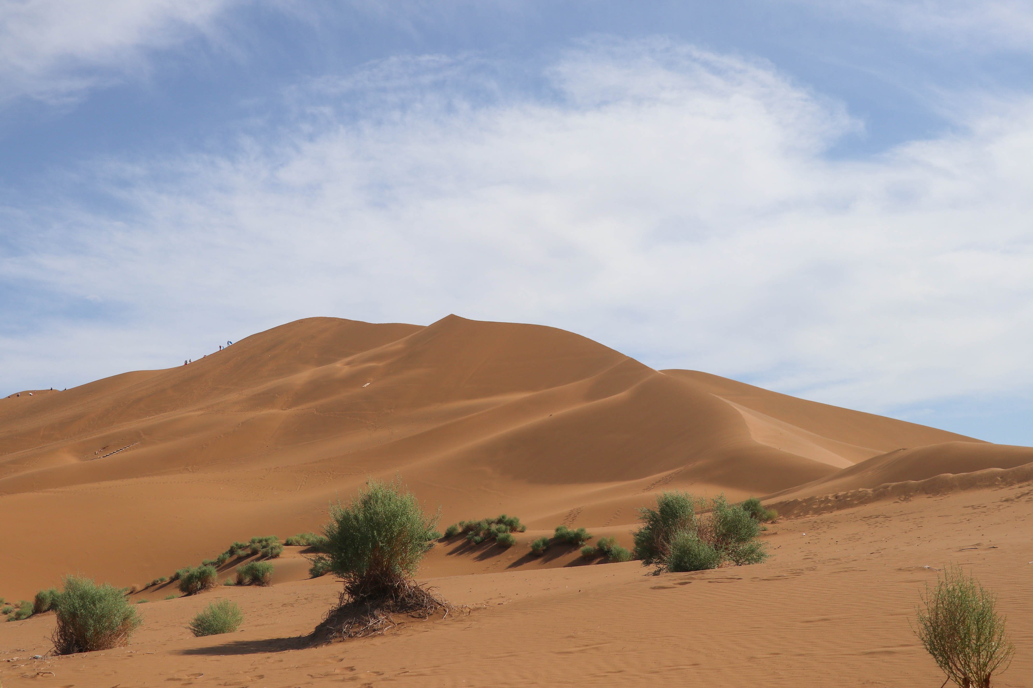 2023库木塔格沙漠游玩攻略,.结合处,观赏四方风景,眼.【去哪儿攻略】