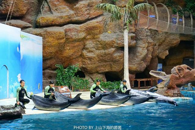 杭州长乔极地海洋公园