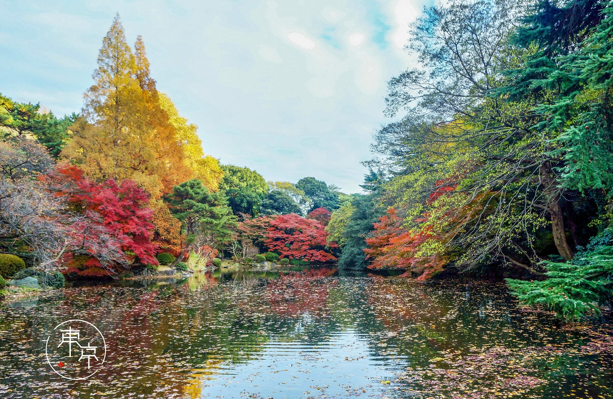 21新宿御苑游玩攻略 最大的日式庭园和法式庭园 去哪儿攻略