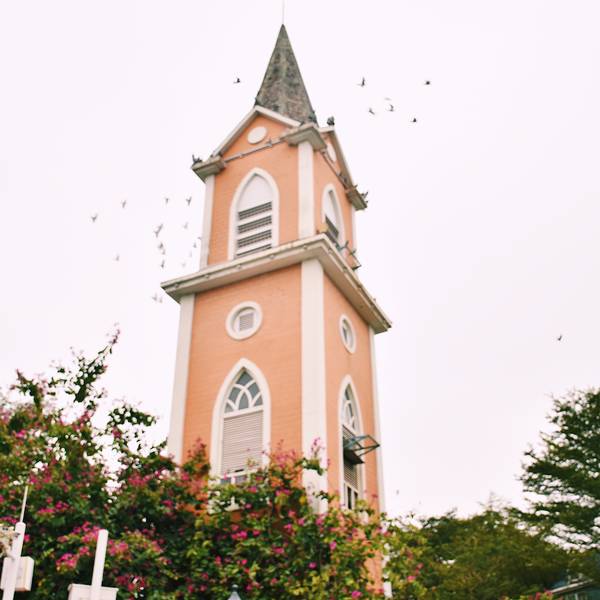 2019荷兰花卉小镇门票,深圳荷兰花卉小镇游玩