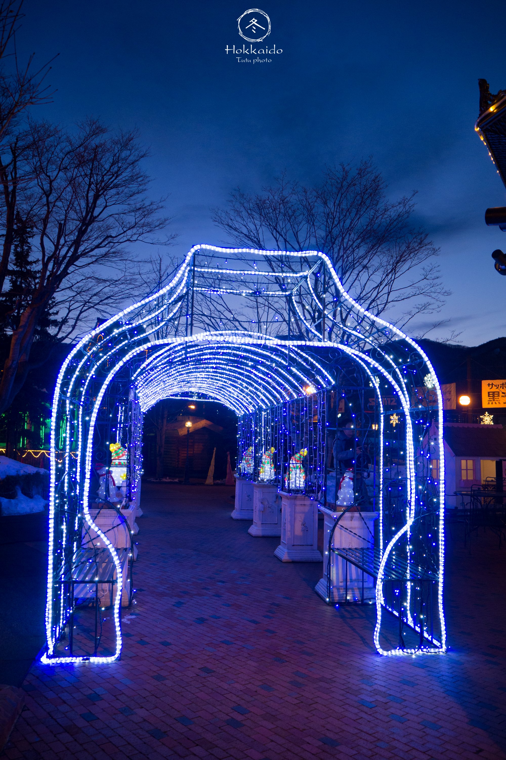 挂满彩灯的小走廊,真实场景比照片看着好看多了,哈哈哈.