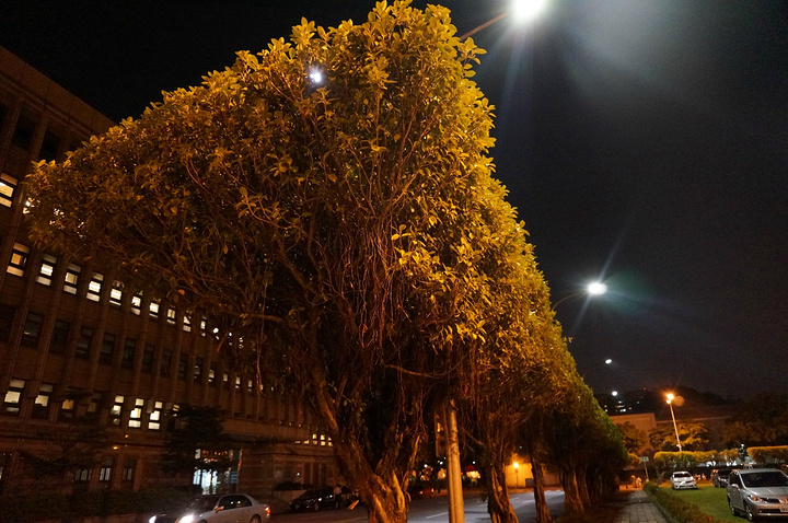 到此一游,啥都没逛,吃了个牛肉面,给老老小小买