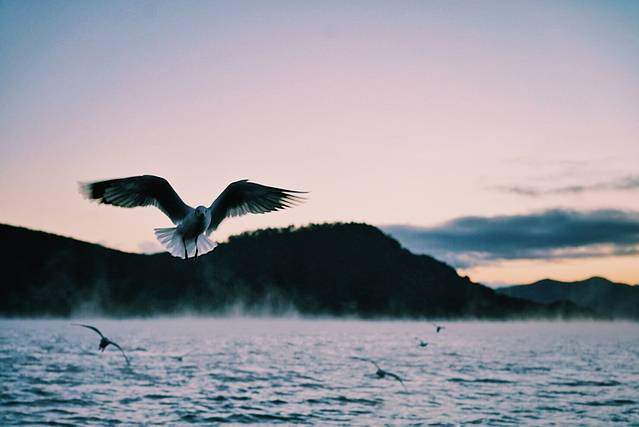 猪槽船游湖（里格码头）