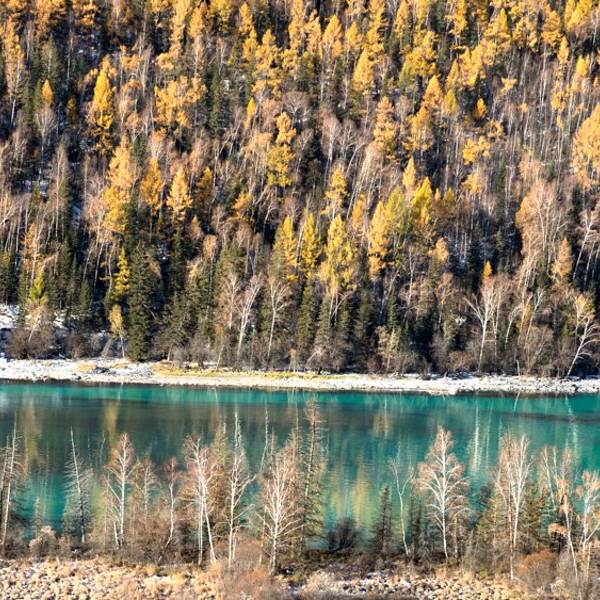 db3e92995219e4b5.jpg_600x600x70_655b894e.jpg