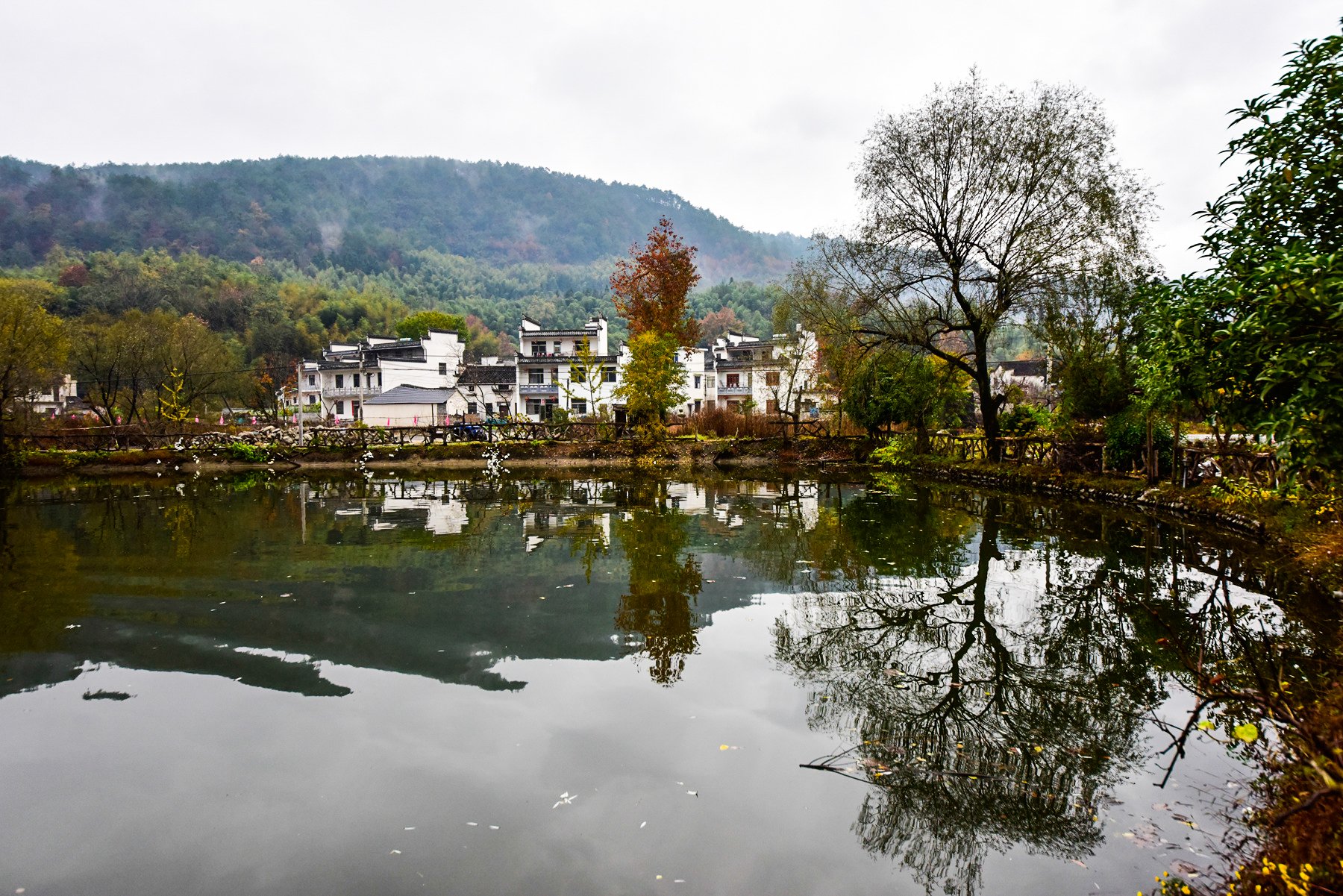 在这里田园风光也变得如此的优美无比了协里村的风光宛如仙境一样又放