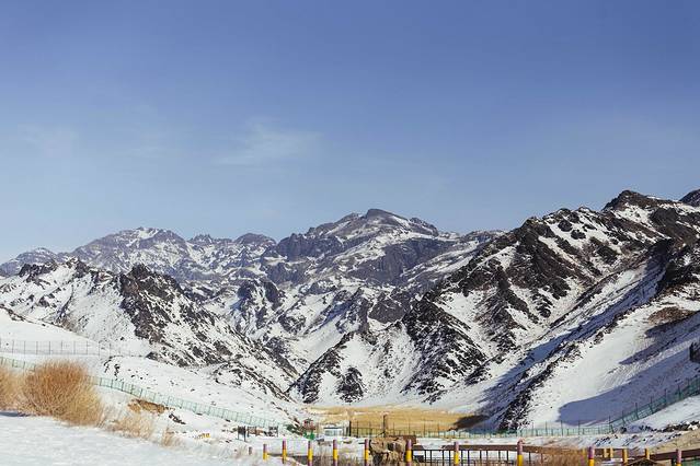 天山野生动物园