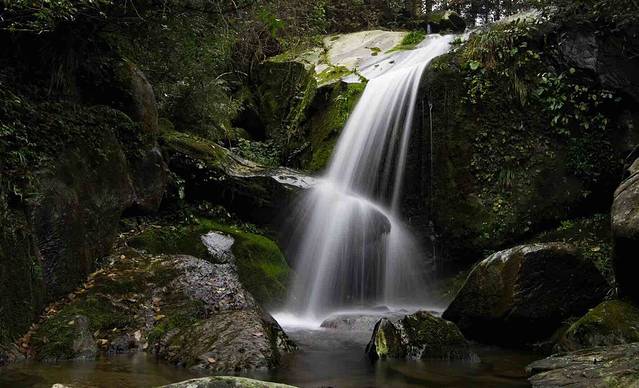 百里龙山国家森林公园