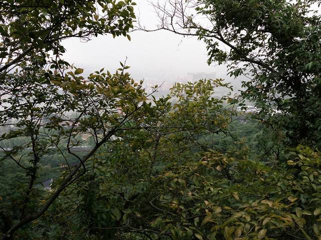 西樵山-白云洞风景区