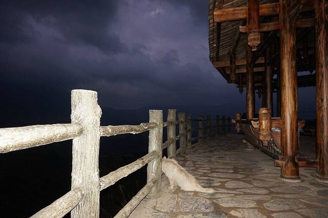 龙脊梯田风景名胜区-金坑梯田