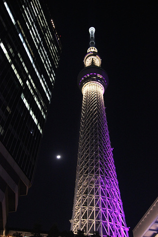 接着我们又坐地铁回到了天空树,去隔壁的老楼上看看夜景,30楼和31楼都
