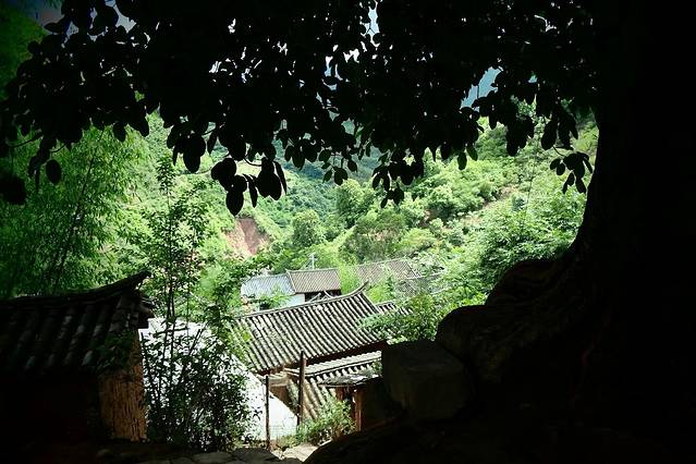 黄遐昌家庭生态博物馆