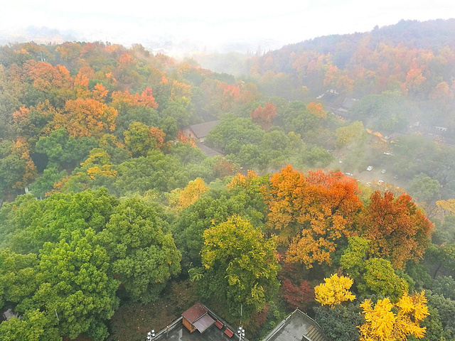 "西湖真的很大，许多景点虽然都在西湖畔，却相距甚远。比如雷峰塔和断桥就隔着一汪碧绿的湖水，两两相望_雷峰塔"的评论图片