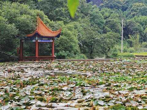 都峤山森林公园