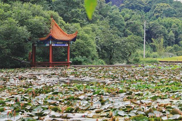 都峤山森林公园