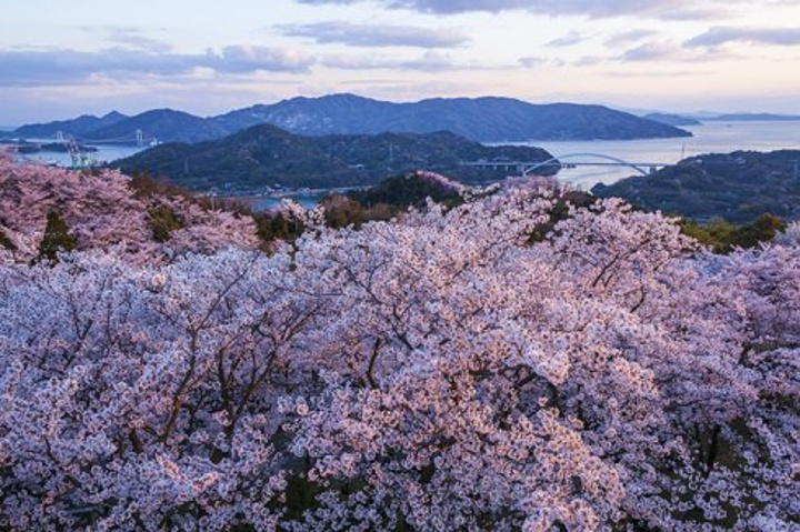 21游玩攻略 交通 住宿 行程 美食 购物攻略 注意事项 实用信息 去哪儿攻略