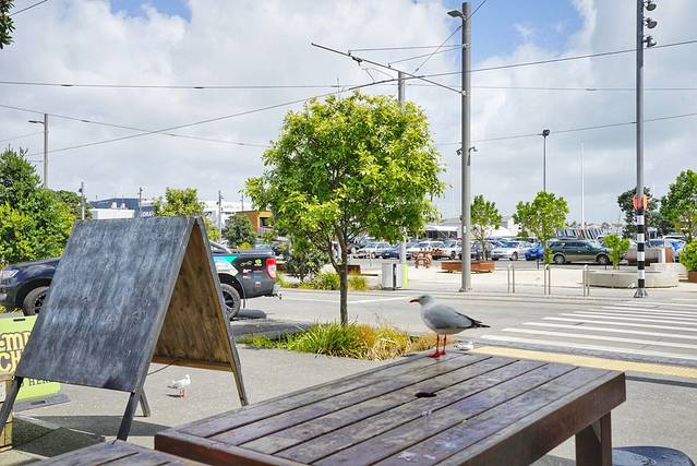 奥克兰海港大桥