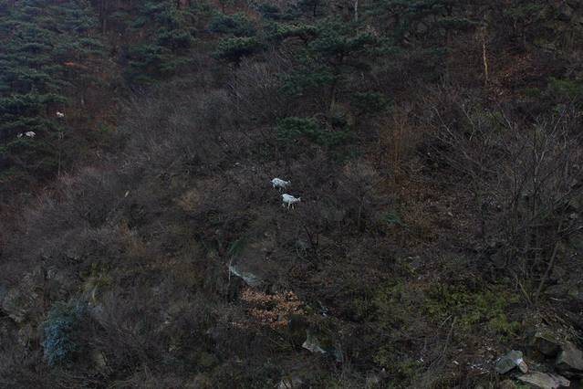 庐山剪刀峡风景区