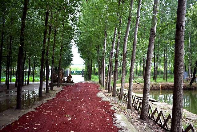 大宋官窑(金水路)