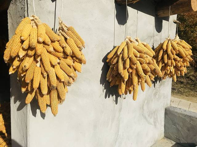 中路藏寨古碉群