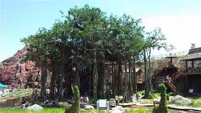 吉木萨尔地质公园