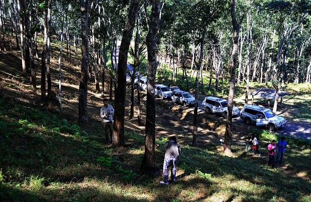 云南南滚国家级自然保护区