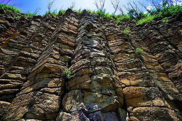 池东大果叶玄武岩