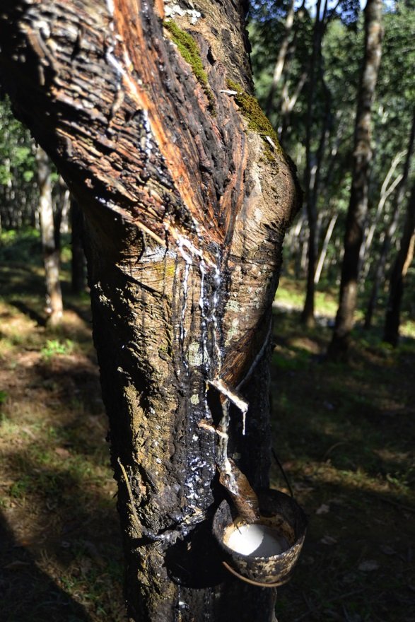 云南南滚国家级自然保护区