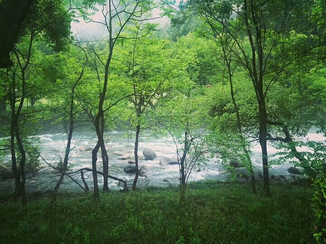 尤其是雨后初晴的天气,溪水清澈见底,在阳光的照耀下五彩缤纷,美丽异常,山是一片碧绿,天空那么蓝