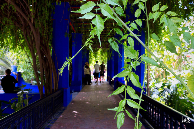 摩洛哥是什么颜色的?逆时针环游摩洛哥+超详