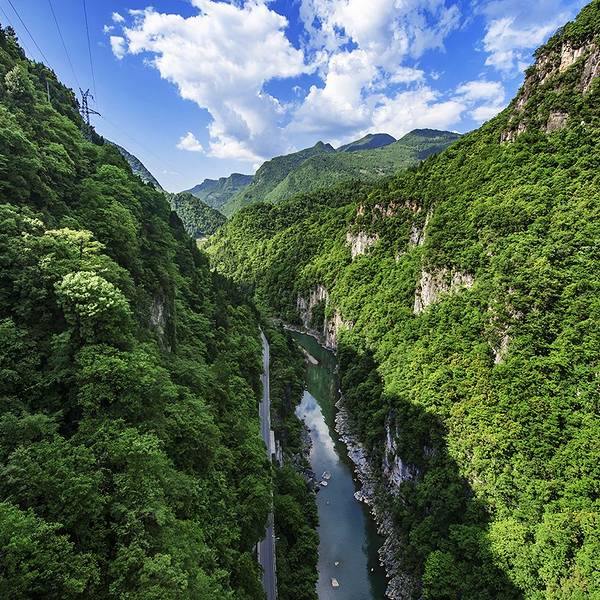 652144e09696c8b5.jpg_600x600x70_065a6e20.jpg