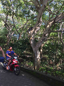 乌鲁瓦图断崖旅游景点攻略图