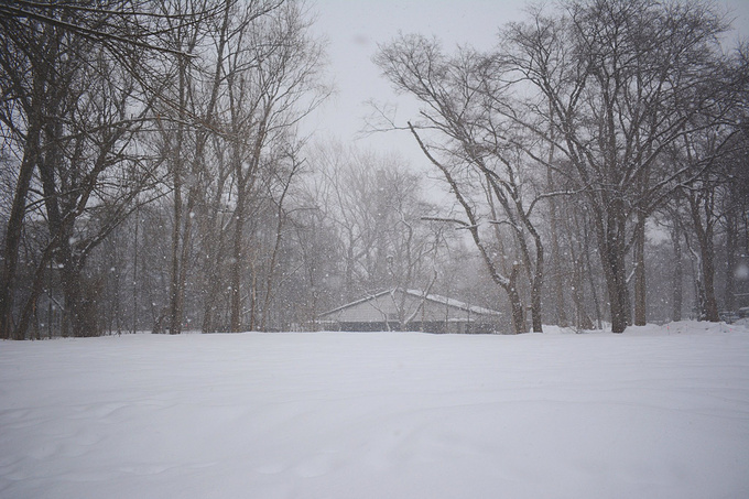 英语渣 日语不通 第一次出国 如何玩转日本 东京 北海道札幌 小樽 东京旅游攻略 游记 去哪儿攻略