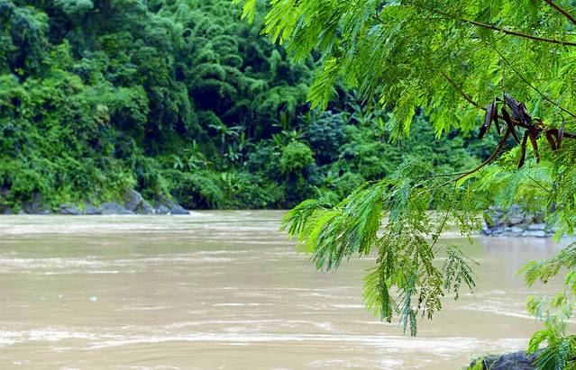 湄公河三角洲快艇游