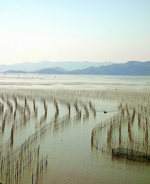 沙江镇旅游景点攻略图