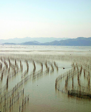 沙江镇旅游景点攻略图