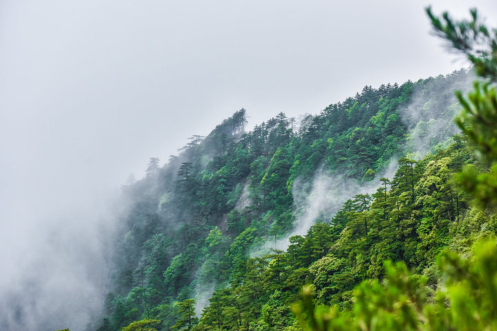 "当你知道龙泉山的来头之后，肯定能猜测到这里的景色是多么的仙境了，多么的美好了，多么的令人值得向往了_龙泉大峡谷"的评论图片