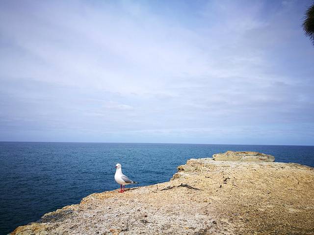 塔斯曼拱门（Tasman arch）