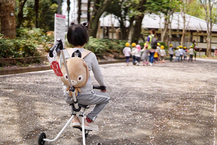 21新宿中央公园 新宿公园里的神社 城市中央里有这么一处花园神社 不禁感慨日本人的环保意识 新宿中央公园 评论 去哪儿攻略