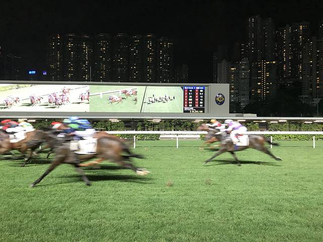 跑马地赛马场