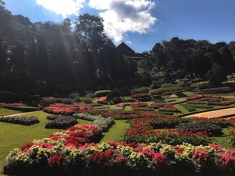 21王太后行宫 旅游攻略 门票 地址 问答 游记点评 清莱旅游旅游景点推荐 去哪儿攻略