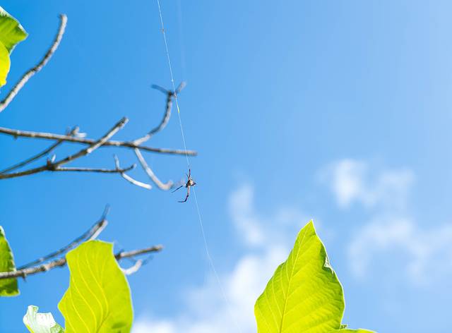 拉德海滩（跑男海滩）