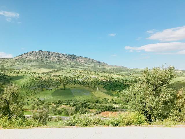 马里尼德王朝墓地