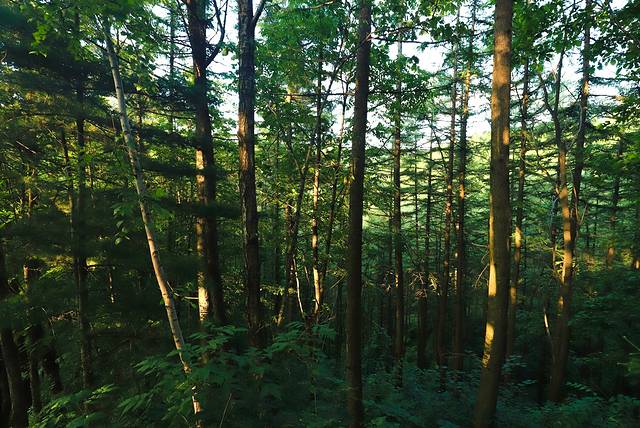 龙峪湾国家森林公园