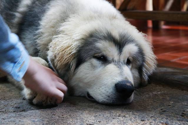 勺子米线·滇味传统过桥米线 (四方街店)