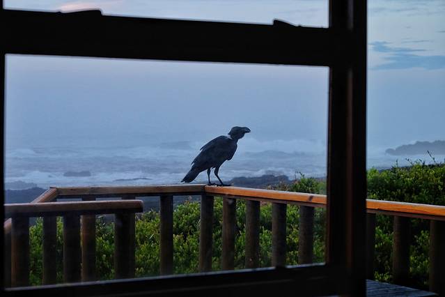 齐齐卡马国家公园