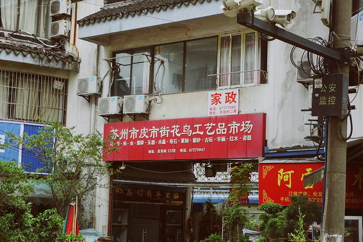 大概是苏州最好吃的糖粥了。据说出摊完全是看